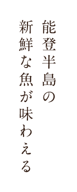 能登半島の新鮮な魚が味わえる